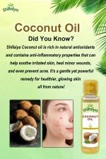 Shifaiya 100% Pure Cold Pressed Virgin Coconut Oil – Natural Nourishment for Hair, Skin & Cooking - Image 2