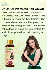 Premium Onion Hair Oil for Hair Growth & Anti Hair Fall - Image 2
